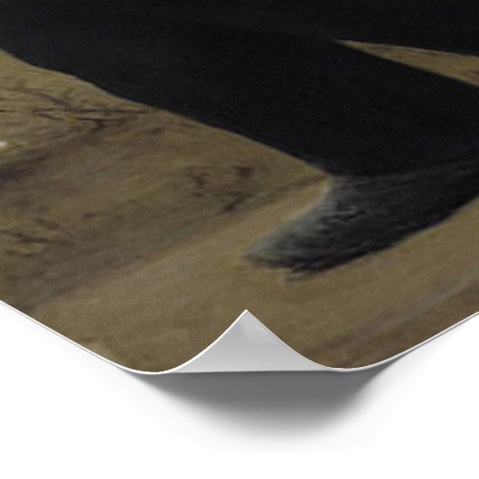 過激な ポスター (角)