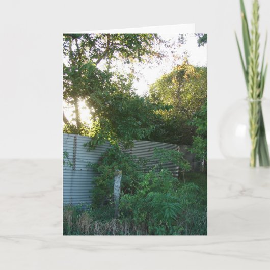 過生農場 カード (正面)