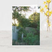 過生農場 カード (黄色い花)