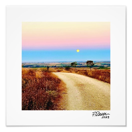 道だ。 フォトプリント            (正面)