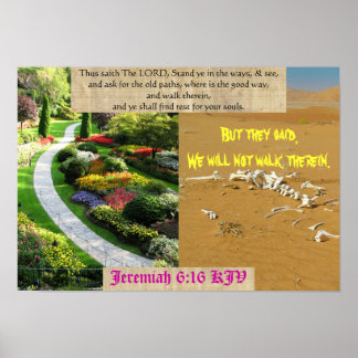 道だ。 ポスター