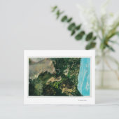 道でローエ山の馬 ポストカード (スタンド正面)