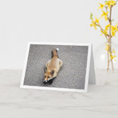 道に横たわるキツネの子ポートレート カード (黄色い花)