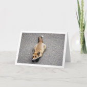 道に横たわるキツネの子ポートレート カード (正面)