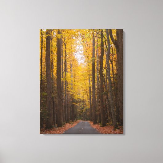 道に沿って キャンバスプリント (正面)