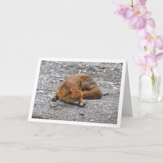 道に迷った赤い狐 カード (蘭)