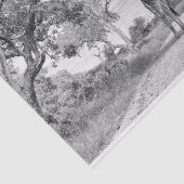 道のキリン 薄葉紙 (詳細)