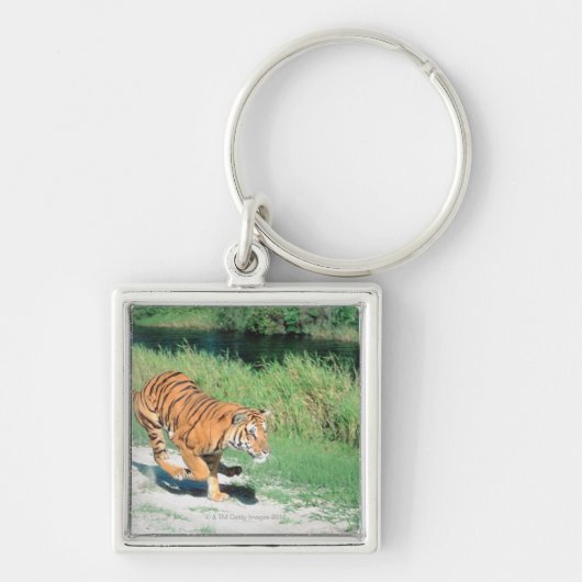 道のトラ キーホルダー (正面)