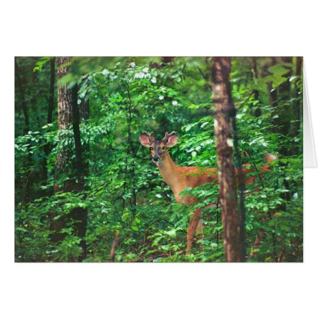 道の交わり (正面横)