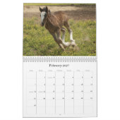 道の入り江の農場のカレンダー2009年 カレンダー (2月 2027)