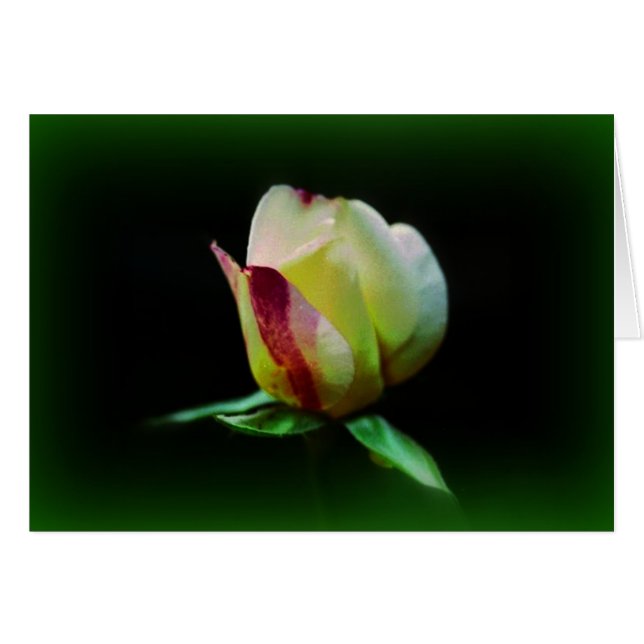 "道の団体" (正面横)