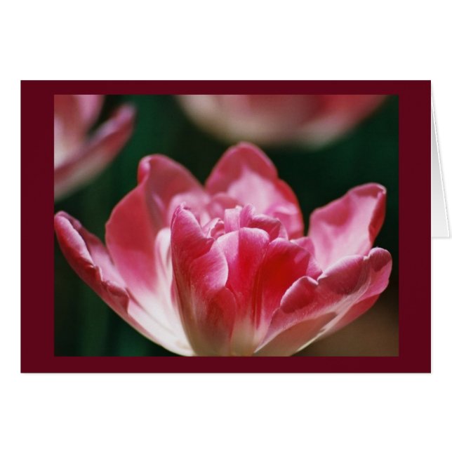 "道の団体" (正面横)