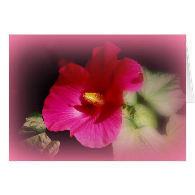 "道の団体" (正面横)