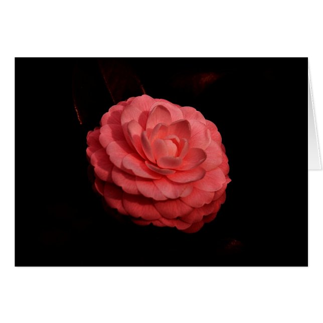 "道の団体" (正面横)