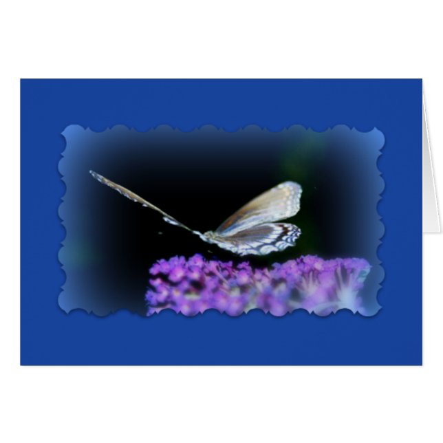 "道の団体" (正面横)