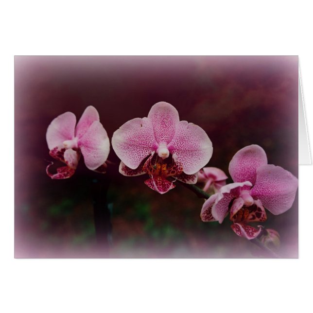 "道の団体" (正面横)