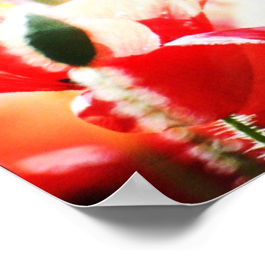 道の後を追先に行かないで… ポスター (角)