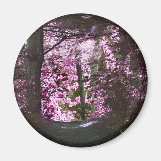 道の自然の磁石のライト マグネット (正面)