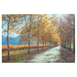 道はブドウ園 メタルプリント