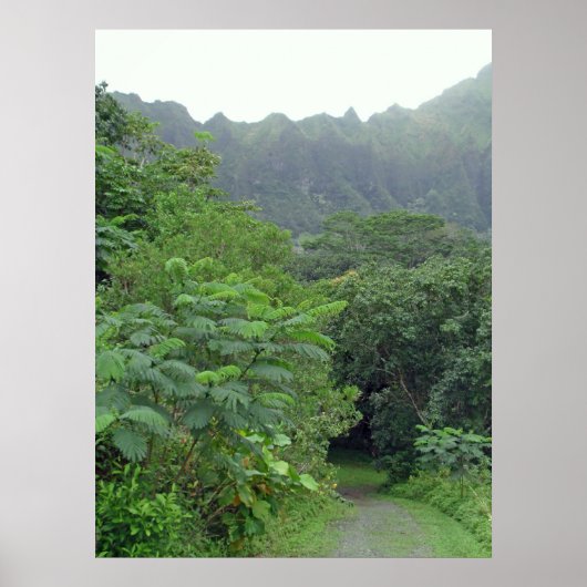 道は通らない ポスター (正面)