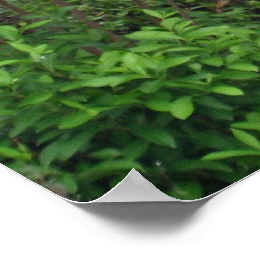 道は通らない ポスター (角)