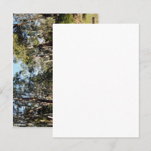 道は進む ポストカード (正面/裏面)