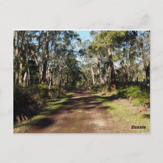 道は進む ポストカード (裏面)