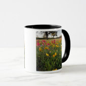 道ばたの野草，テキサス州,春 マグカップ (正面右)
