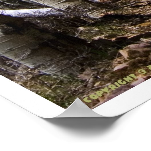 道を下る ポスター (角)