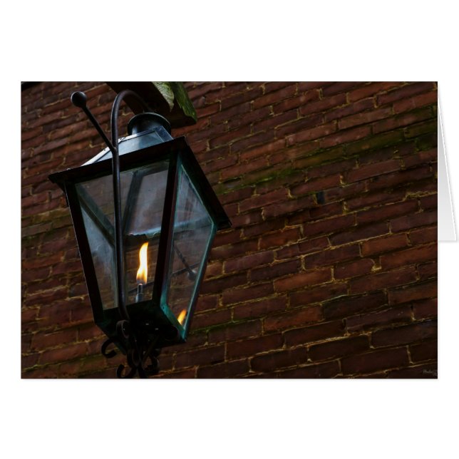 道を照らす (正面横)