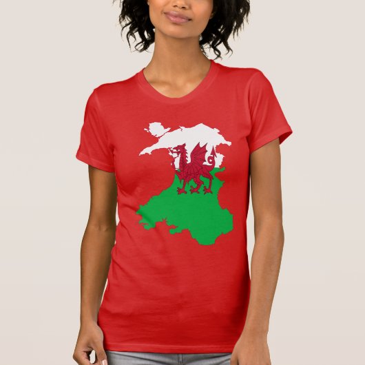 道を示す赤いドラゴン Tシャツ (正面)