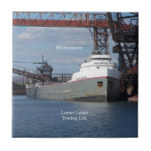 道市瓦 タイル (正面)