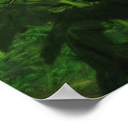 道忘れ路 ポスター (角)