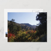 道沿い - トレイルからの峡谷 ポストカード (正面/裏面)