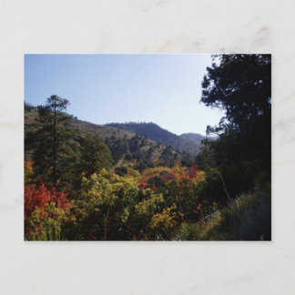 道沿い - トレイルからの峡谷 ポストカード