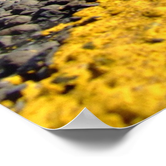 道澄ん路 ポスター (角)