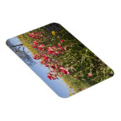 道端の野生の花テキサス州、春 マグネット (右側)