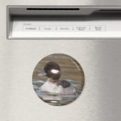 道端の鴨が通る マグネット (インサイチュ (食洗機))