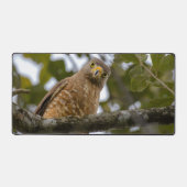 道端の鷹、野生動物の鳥写真 デスクマット (正面)