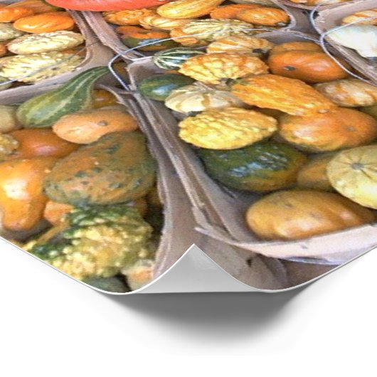 道端スカッシュ ポスター (角)