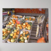 道端スカッシュ ポスター (正面)