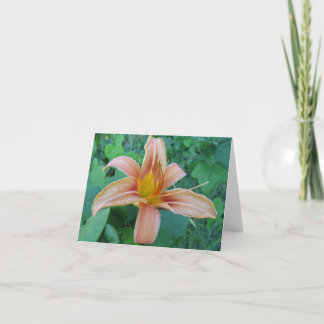 道端デリカシー札 カード