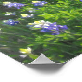 道端ブルーボネットプリント ポスター (角)