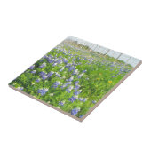 道端ブルーボンネット タイル (側面)