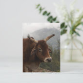 道端牛 ポストカード (スタンド正面)