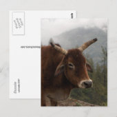 道端牛 ポストカード (正面/裏面)