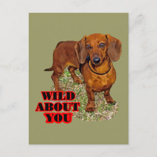 道西恋人 ポストカード