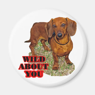 道西恋人 マグネット