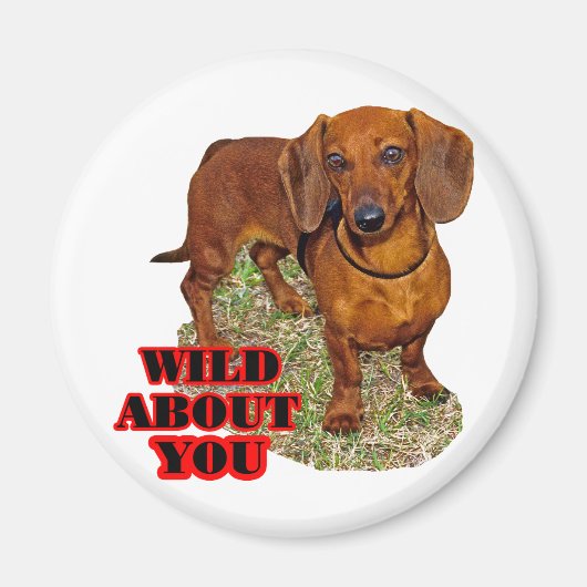 道西恋人 マグネット (正面)