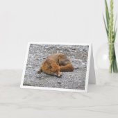 道路にいる赤い狐 カード (正面)